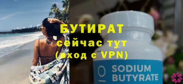 индика Кулебаки