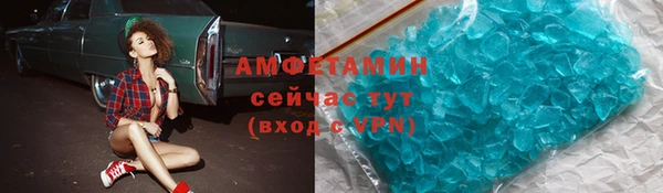 индика Кулебаки