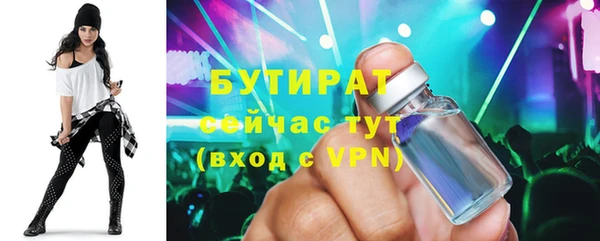 индика Кулебаки