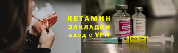 индика Кулебаки