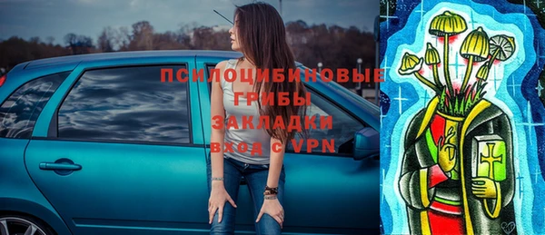 дмт Кукмор