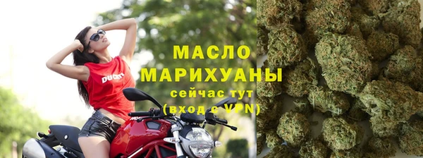 индика Кулебаки