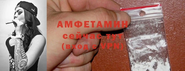 индика Кулебаки