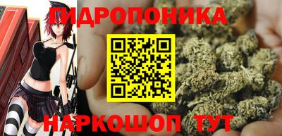 МДПВ Пенза