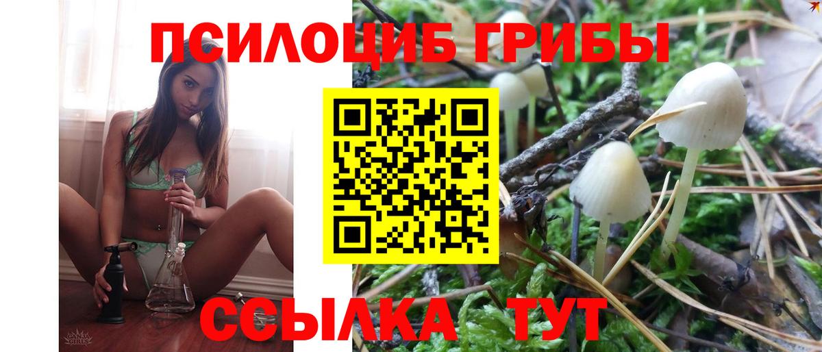 Галлюциногенные грибы MAGIC MUSHROOMS Новоалтайск