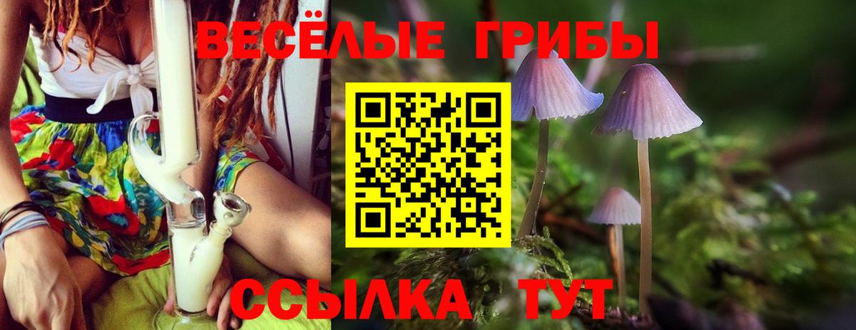 Галлюциногенные грибы Psilocybine cubensis  Вход с VPN  Новоалтайск 